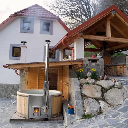 Kmetija Karnicnik-kmecka Hisa Matejka With Hot Tub&sauna 度假居 *