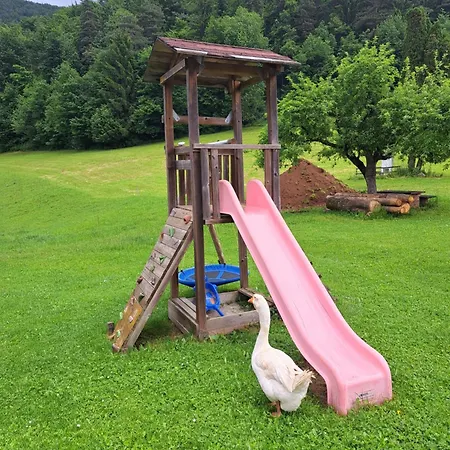 Kmetija Karnicnik-kmecka Hisa Matejka With Hot Tub&sauna 韦莱涅