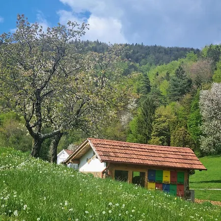 Kmetija Karnicnik-kmecka Hisa Matejka With Hot Tub&sauna 度假居 *