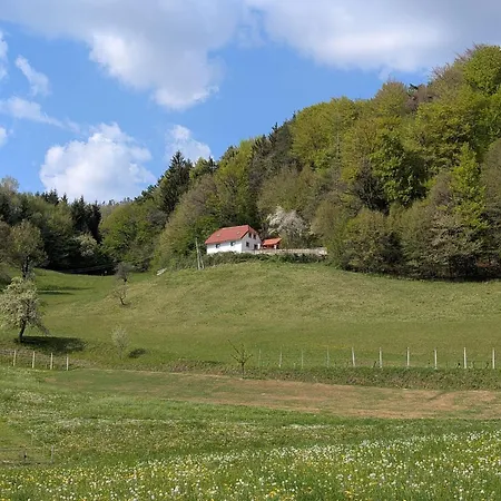Kmetija Karnicnik-kmecka Hisa Matejka With Hot Tub&sauna 度假居 *