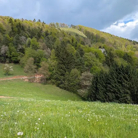 Kmetija Karnicnik-kmecka Hisa Matejka With Hot Tub&sauna * 韦莱涅